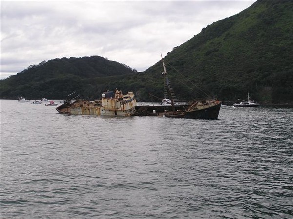 SeaFire 44meter fishing vessel sunk off Whakatane 3